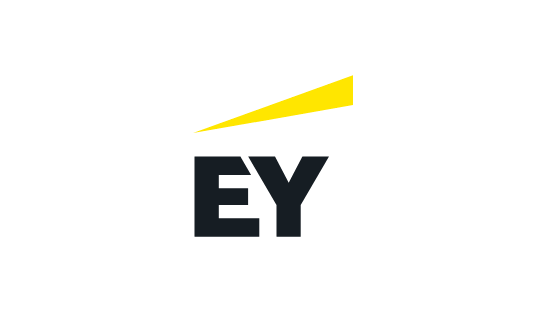 EY Developer (Intern) Internship Opportunity