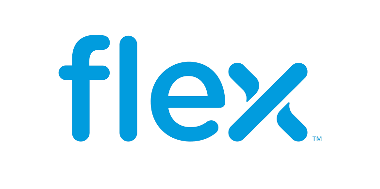 Flex Junior Financial Analyst – CAS Job in Chennai
